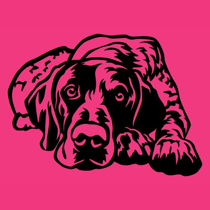 German Shorthaired Pointer