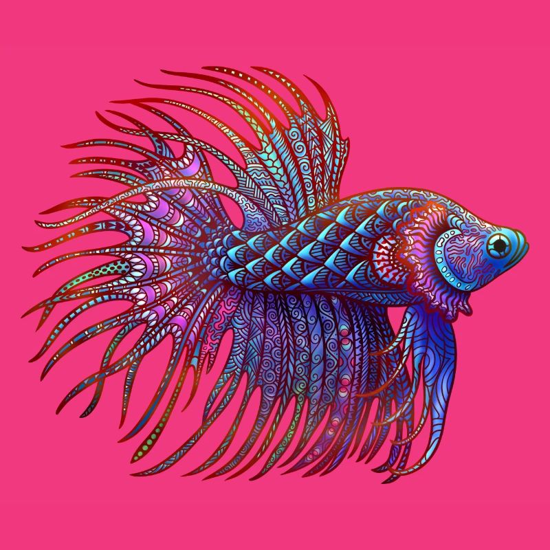 Betta Zentangle Farbe
