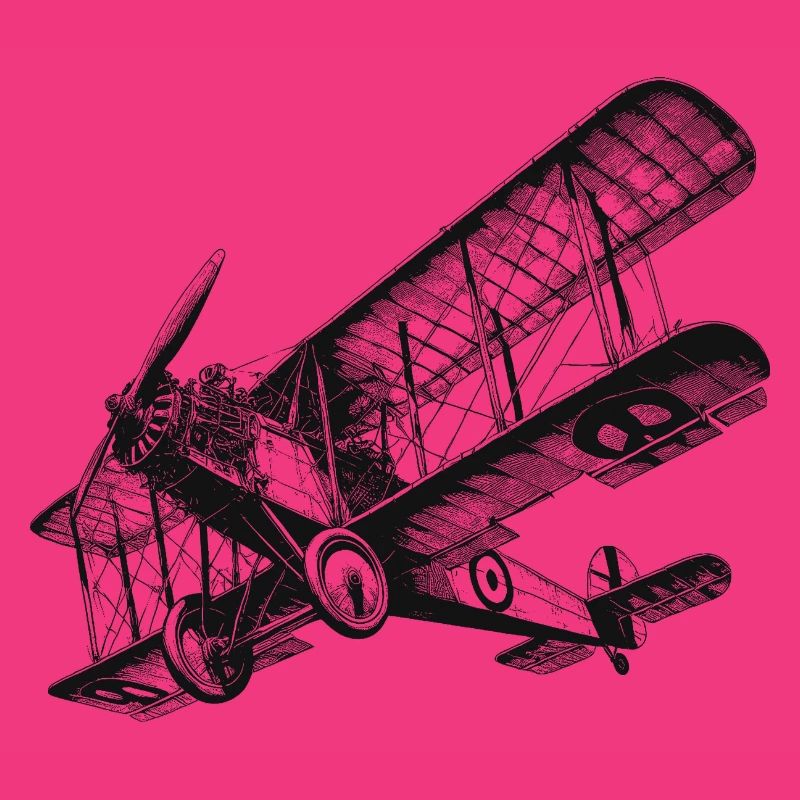 Doppeldecker Flugzeug
