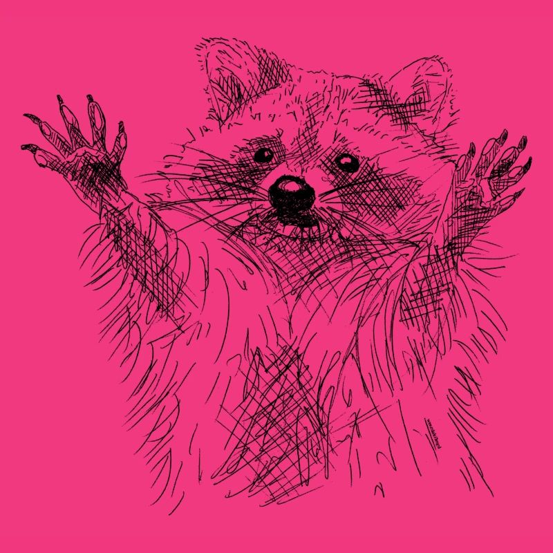 Waschbär
