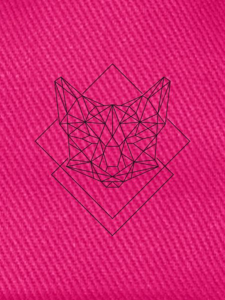 Polygon Fuchs