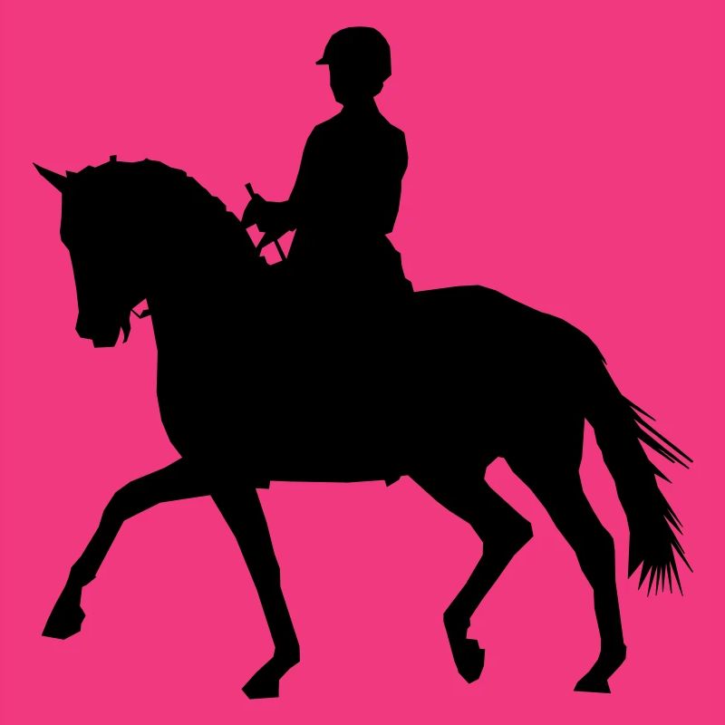 Reiterin mit Pferd