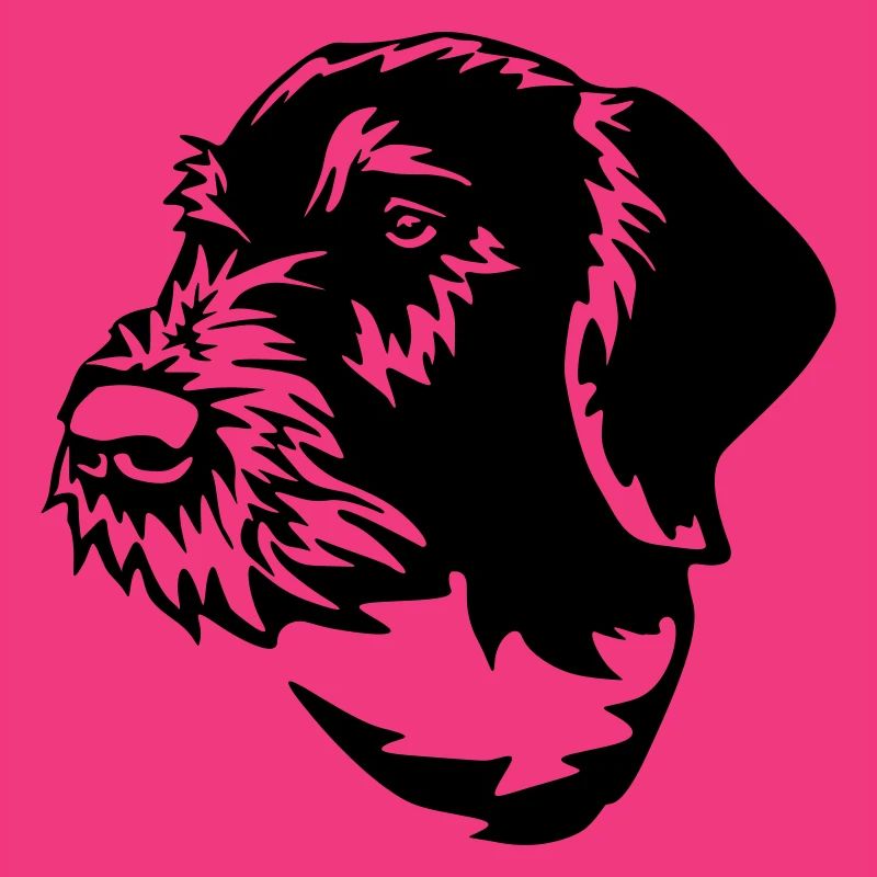 German Wirehaired Pointer
