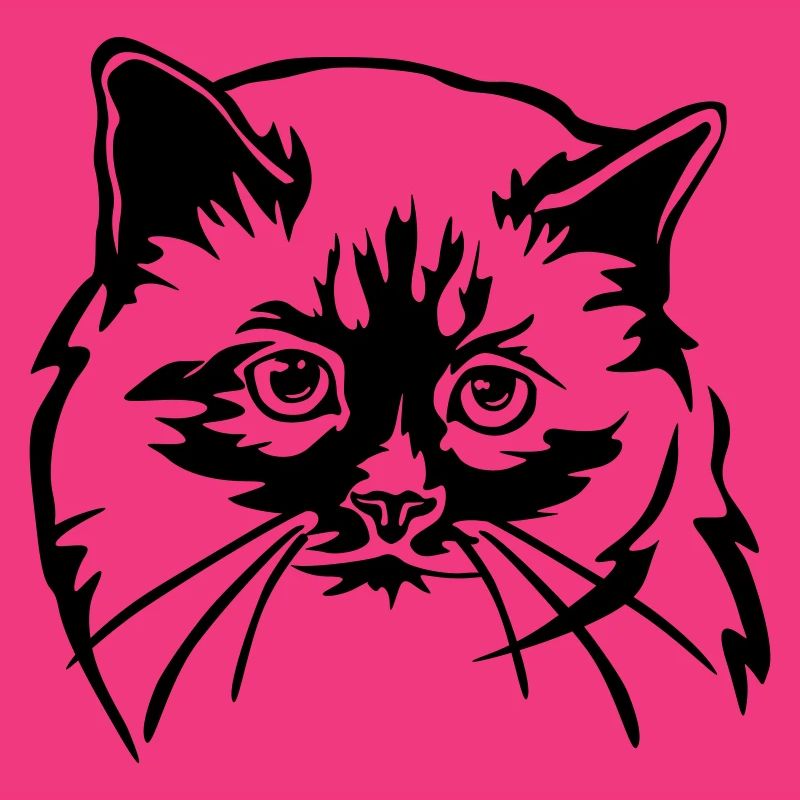 Birma Katze