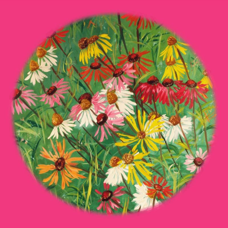 Bunte Echinacea-Wiesen-Malerei