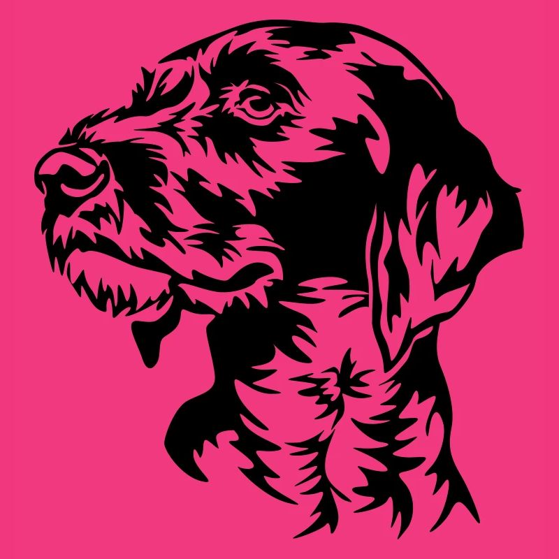 German Wirehaired Pointer head