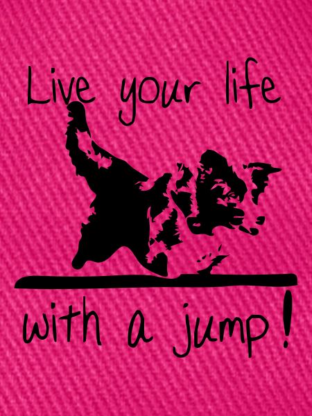 Border Collie - Agility