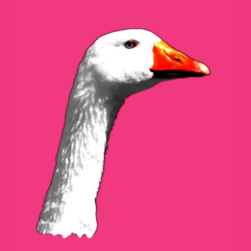 Gans