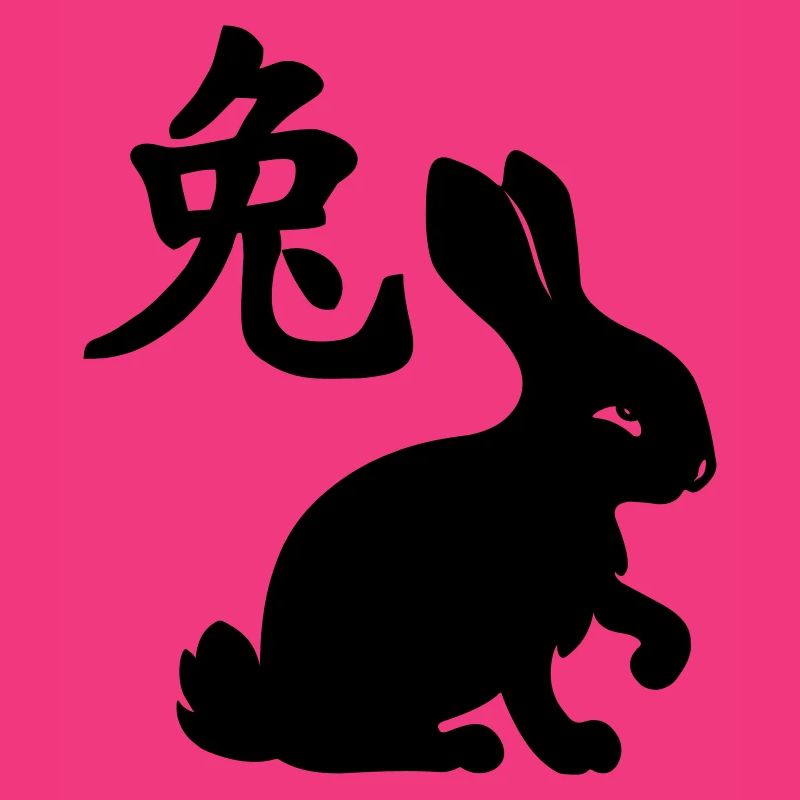 Chinese character rabbit with rabbit image