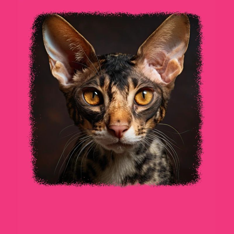 Cornish Rex Kitten Cornish Rex Cat