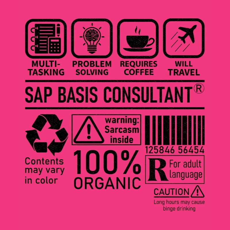 Sap Basis Consultant multi tasking problem solving