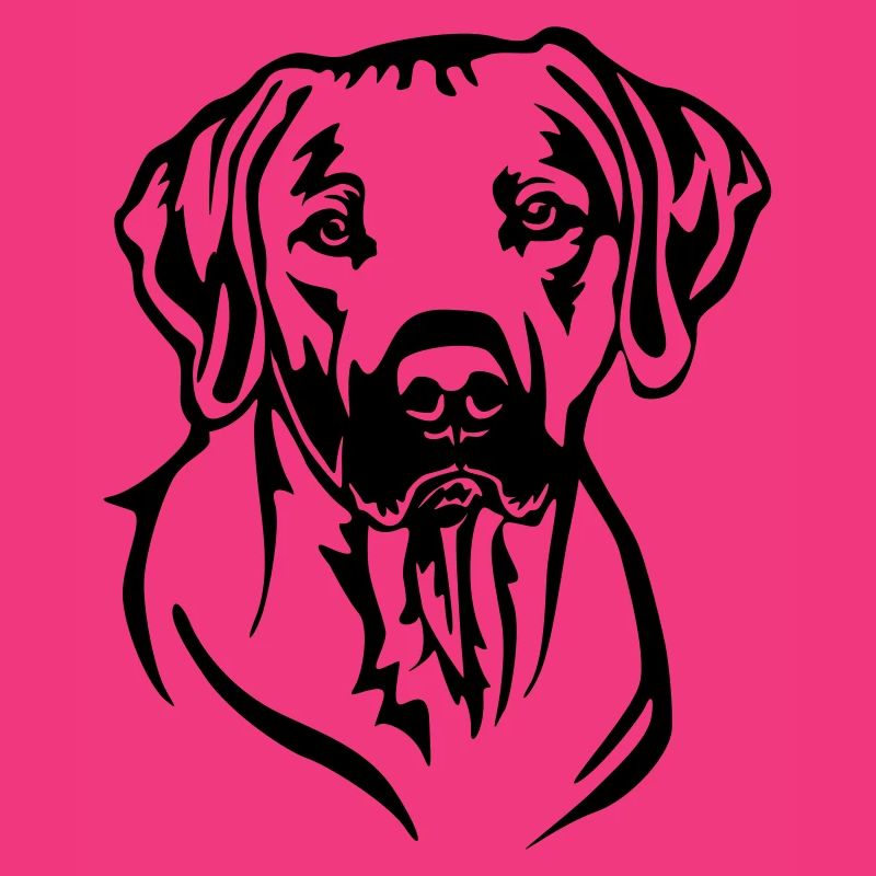 Rhodesian Ridgeback Kopf