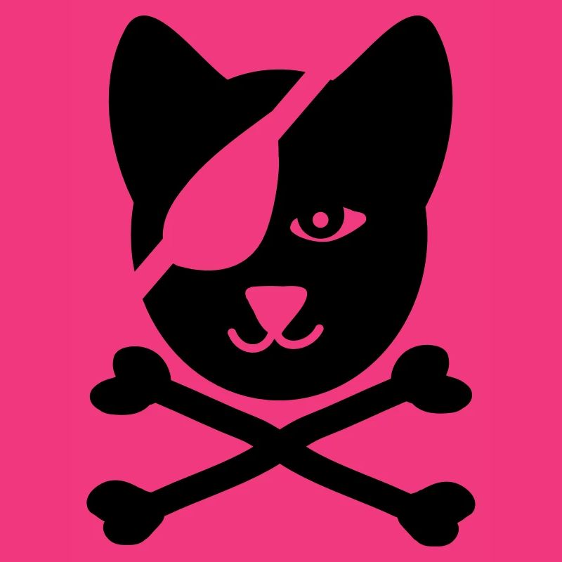 katze pirat seefahrt