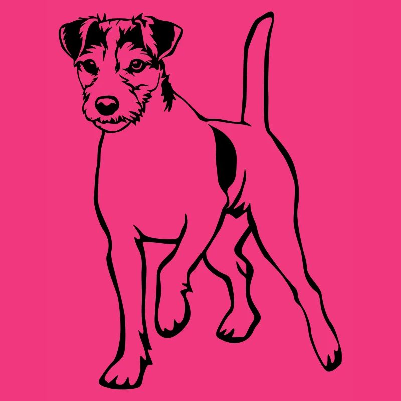 Parson Russell Terrier