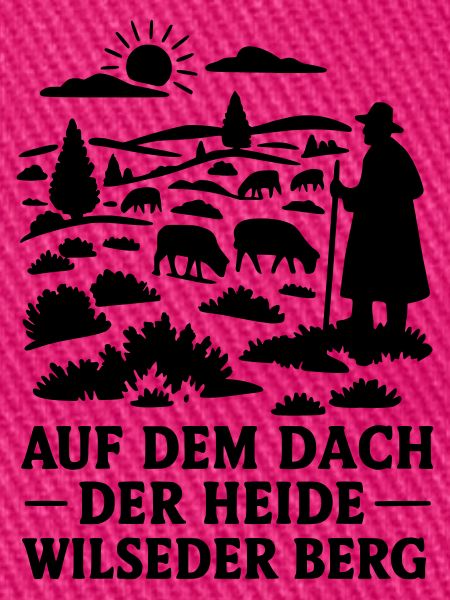 Lüneburger Heide Wilseder Berg