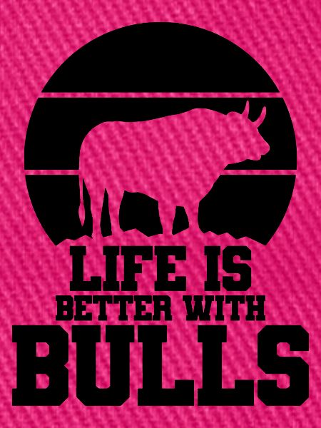 Stier Spruch Humor
