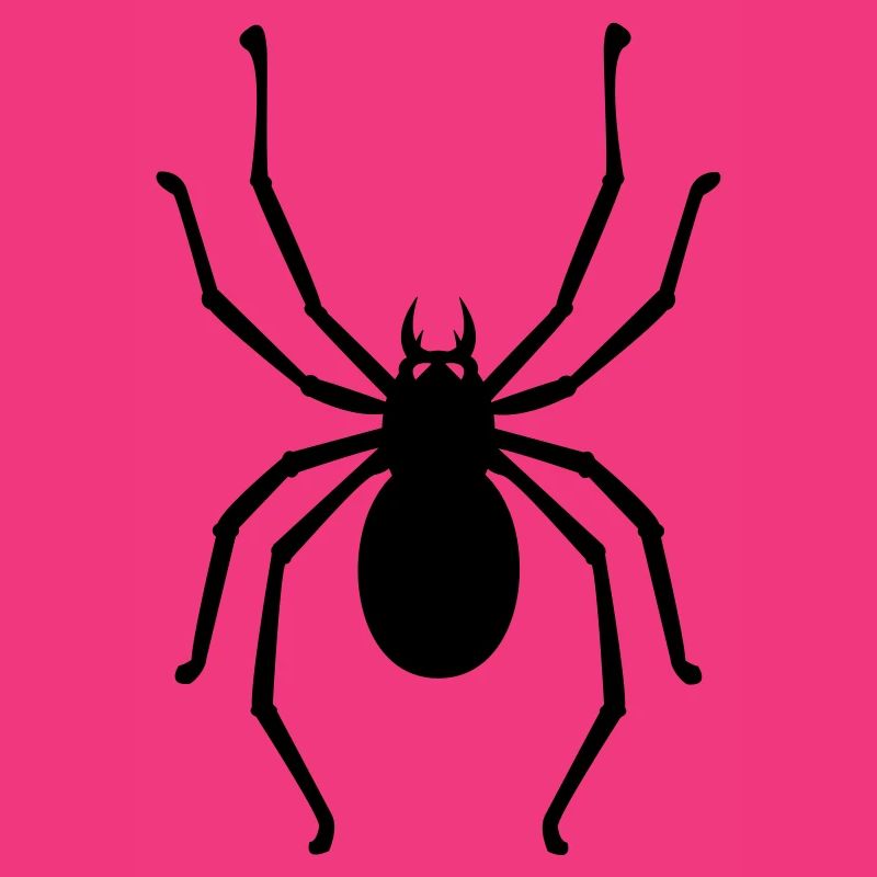 Spinne