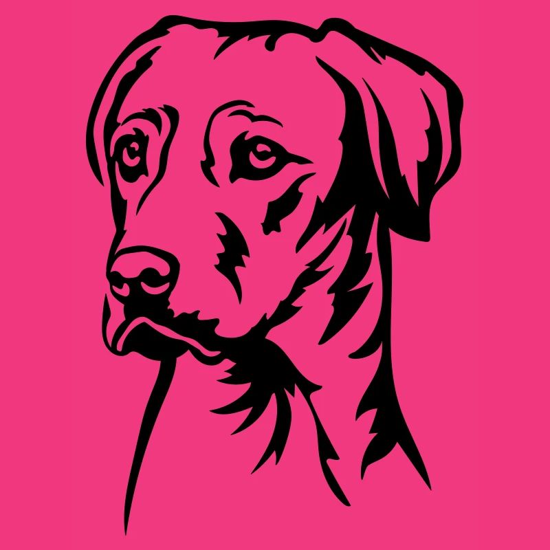 Rhodesian Ridgeback Kopf