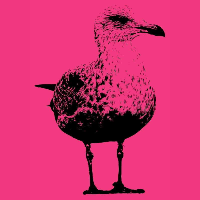Möwe