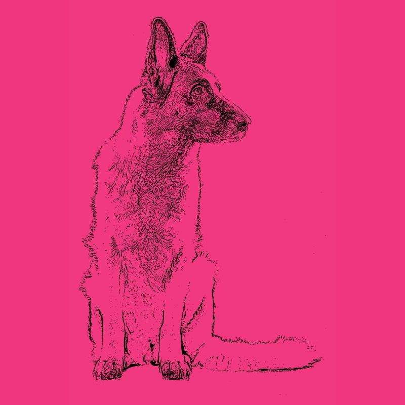 Schäferhund sitzend