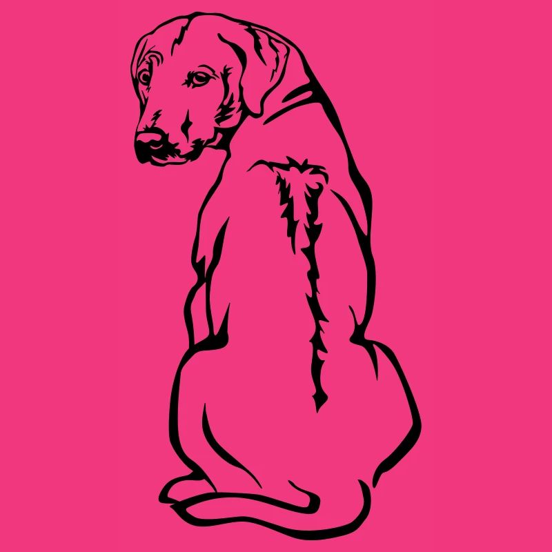 Rhodesian Ridgeback
