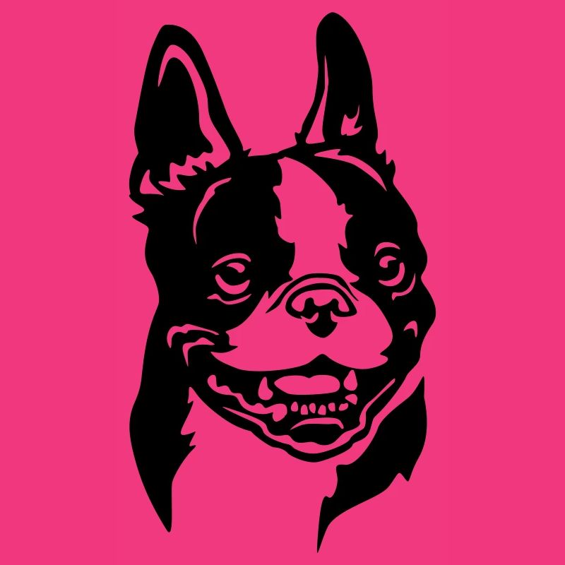Boston Terrier Kopf