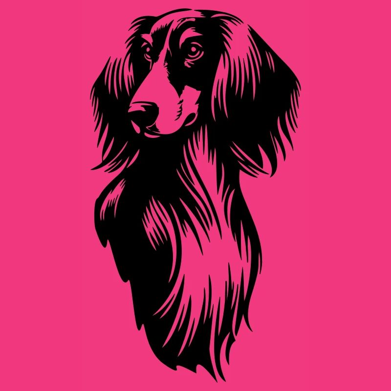 Saluki Kopf
