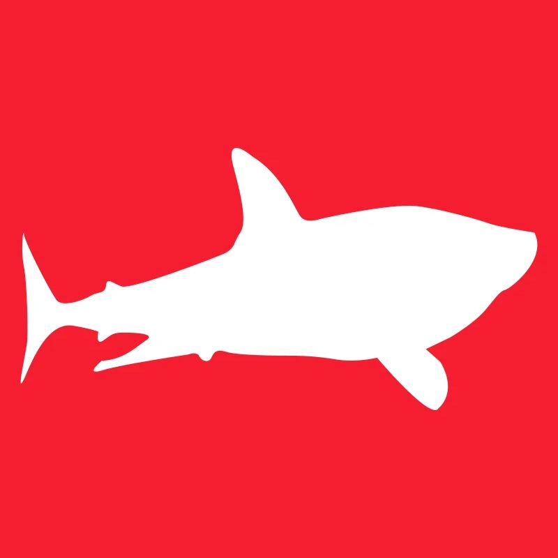 shark shark