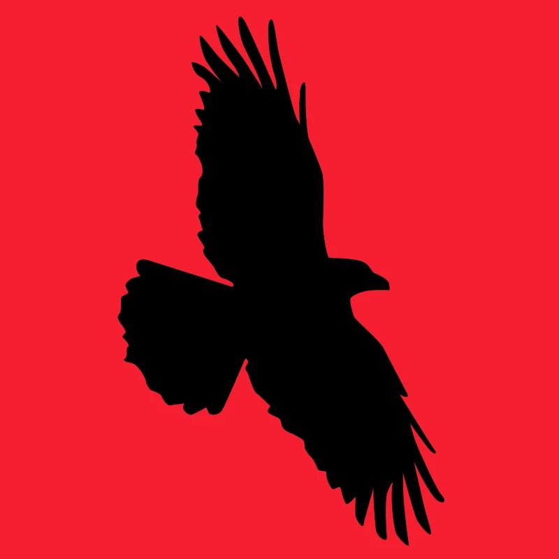 Rabenflug