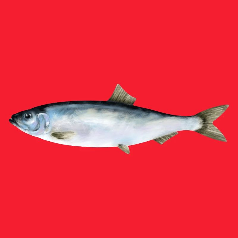 Hering