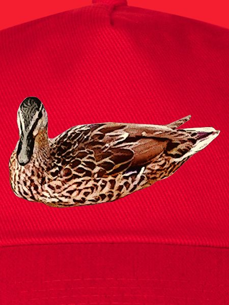 wasservögel, Stockente