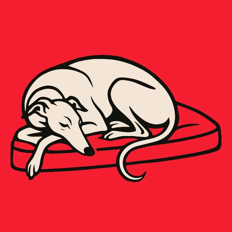 Galgo sleeping