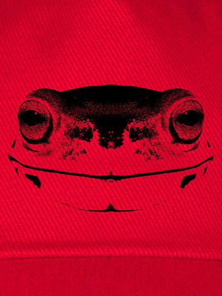 Frosch / Gesicht / frog Face