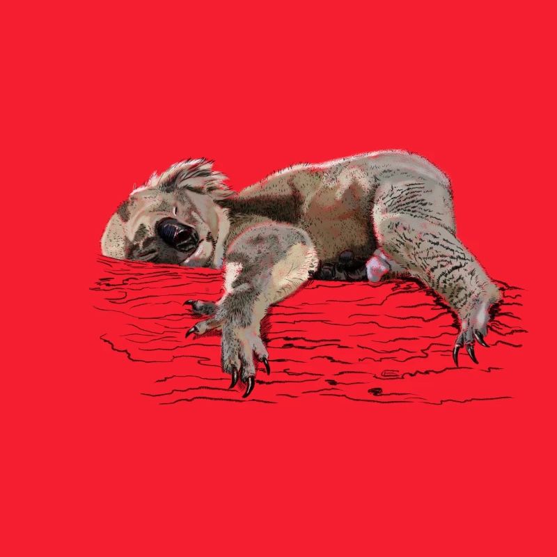 koala bear