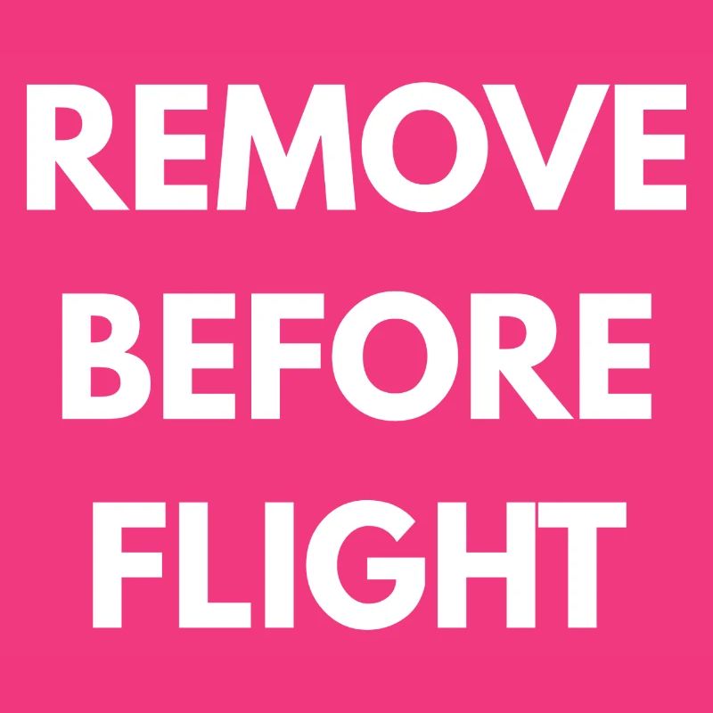 REMOVE BEFORE FLIGHT