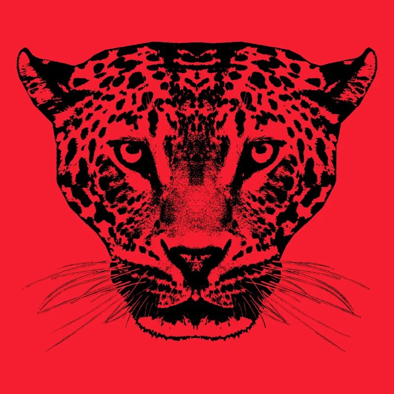 Leopard / Kopf