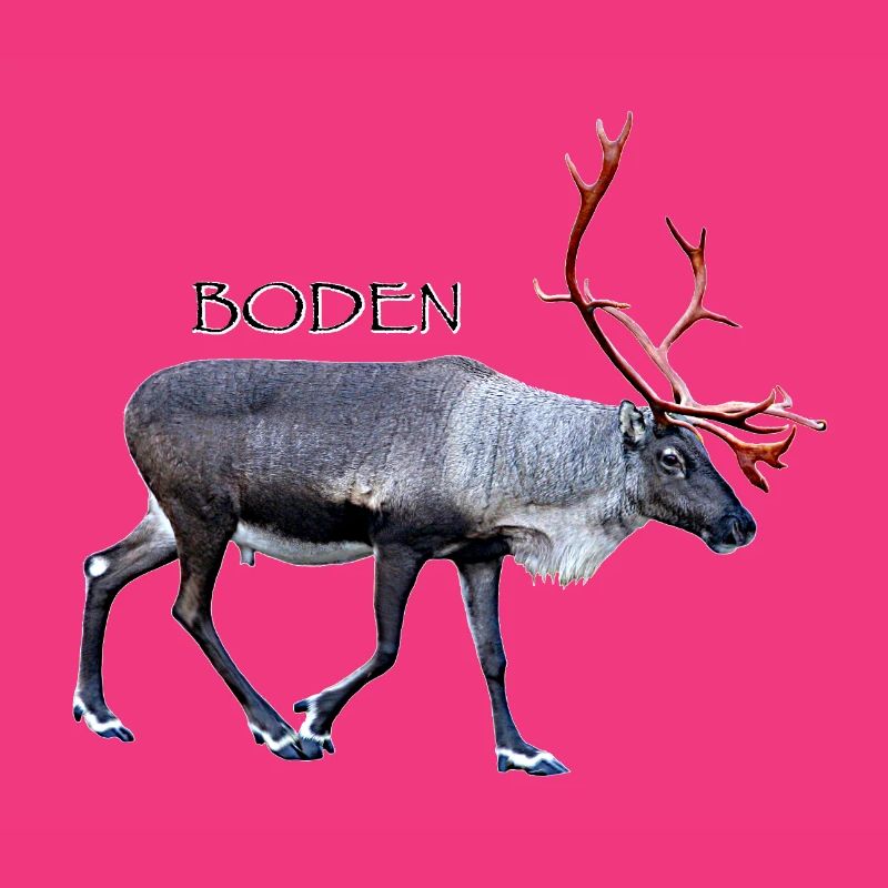 Boden