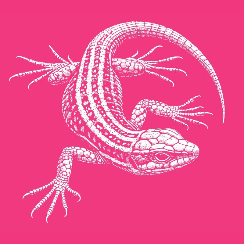 Wall lizard