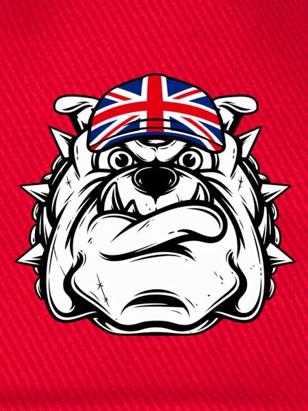 Britische Bulldogge