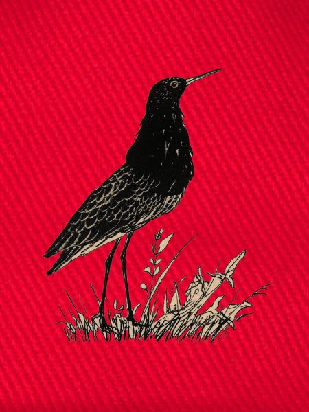 Vogel