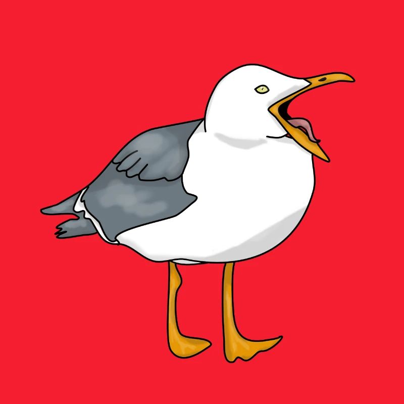 Möwe - Seagull