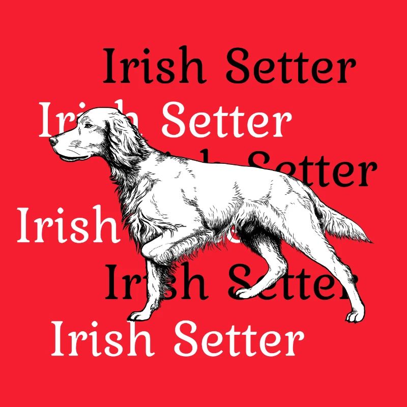 Irish Setter vorstehend