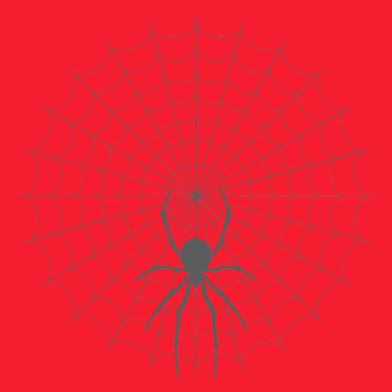 Spider Web Silhouette