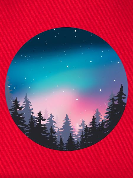 Nachthimmel, Aurora, Waldlandschaft