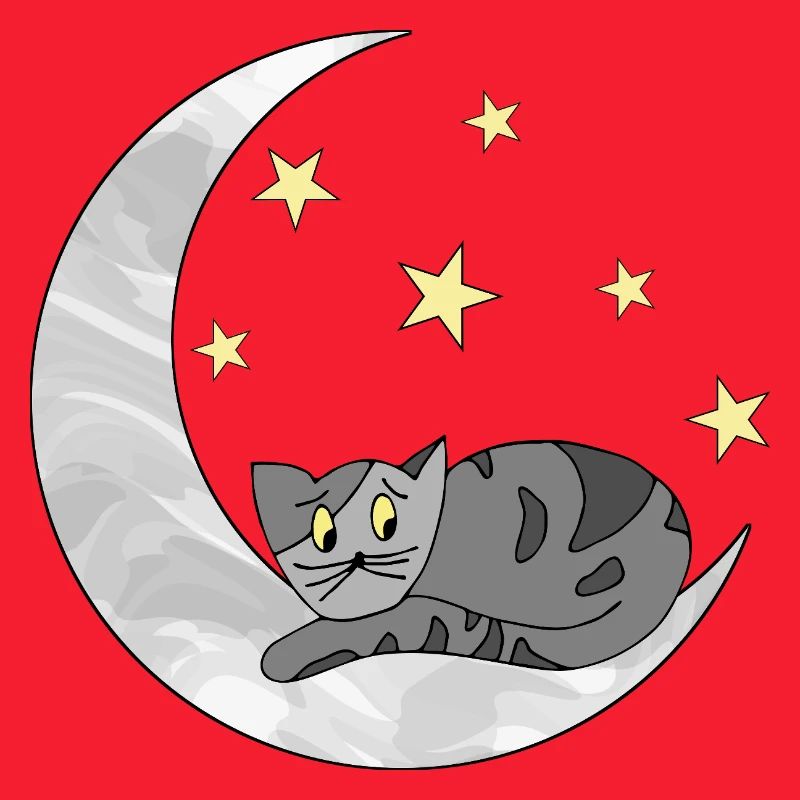chat
