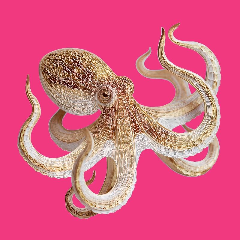 Octopus Net Pattern – Maritime Style