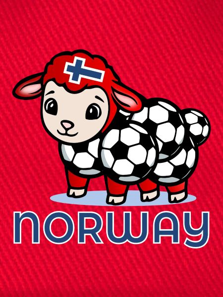 Norwegischer Schaffußball