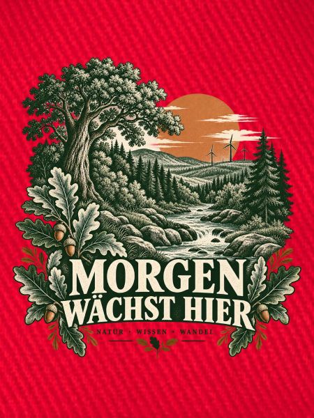 Morgen wächst hier – Waldlandschaft