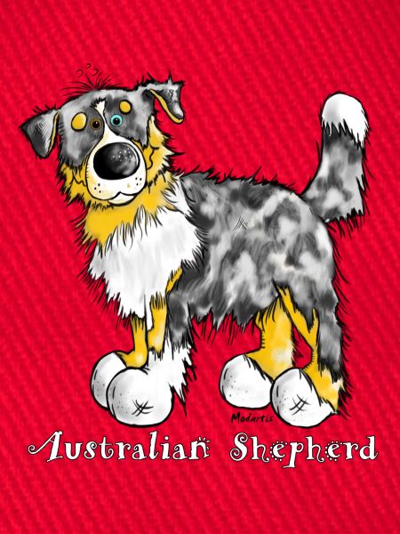 Australian Shepherd – Aussie – Hütehund