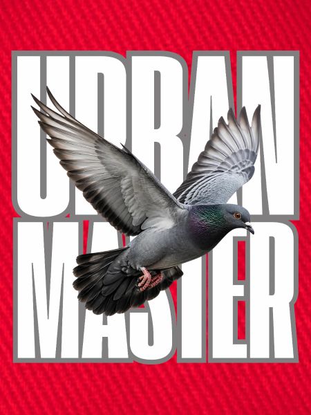 Urban Master Taube
